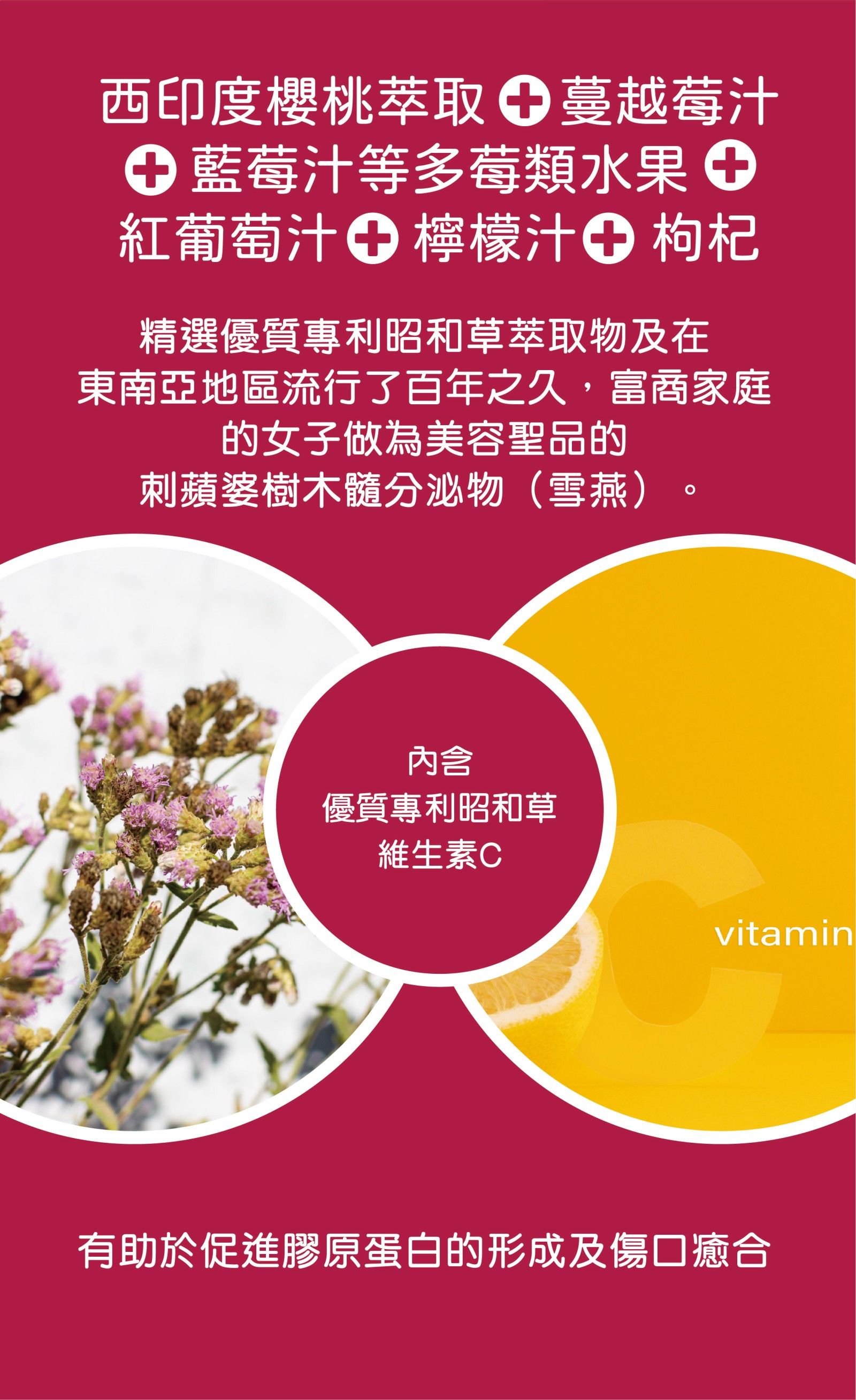 多莓青春膠原晶凍_240702_2.jpg